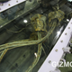 Image for article titled Neuron Chamber Offers a Glimpse at What Alien Brains Might Look Like